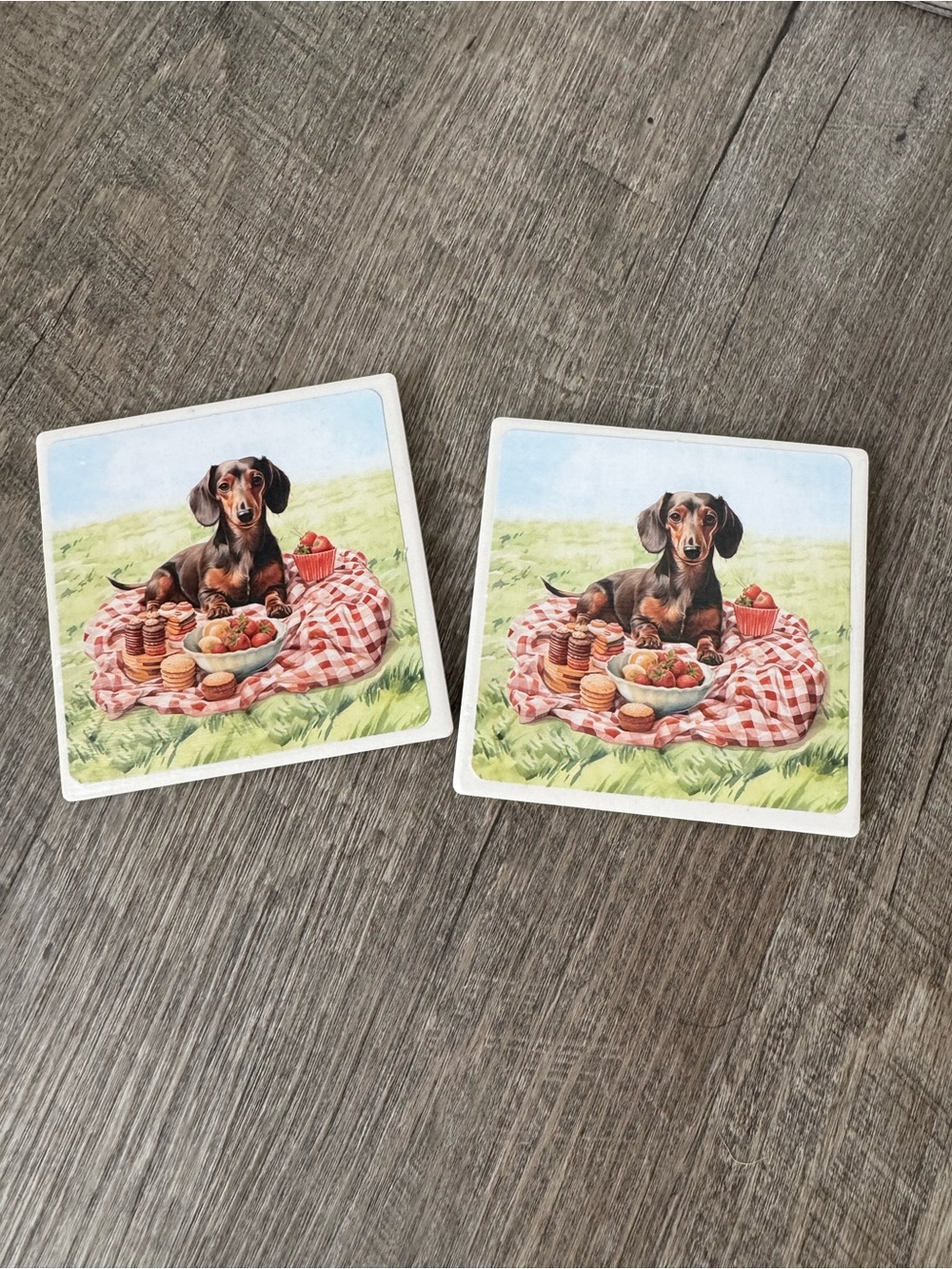 Dachshund Picnic Decorative Paper Napkins in Red Check